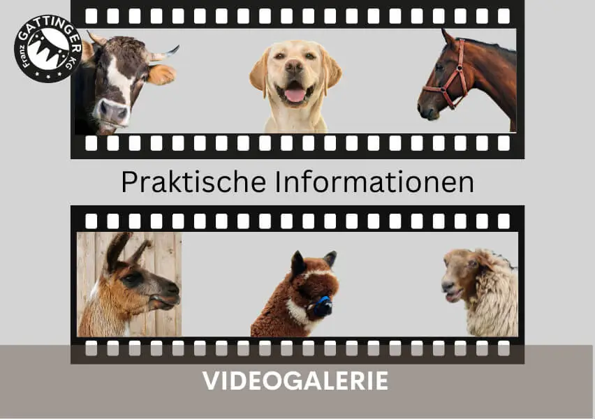 Videogalerie