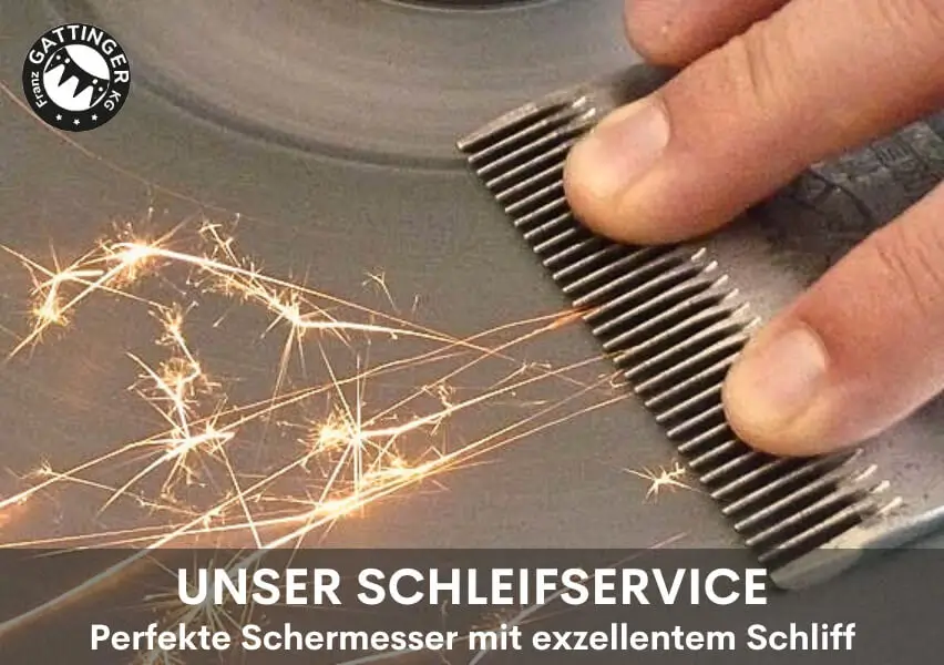 Schleifservice