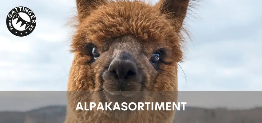 Alpakasortiment