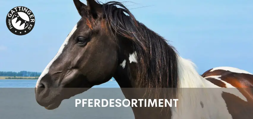 Pferdesortiment