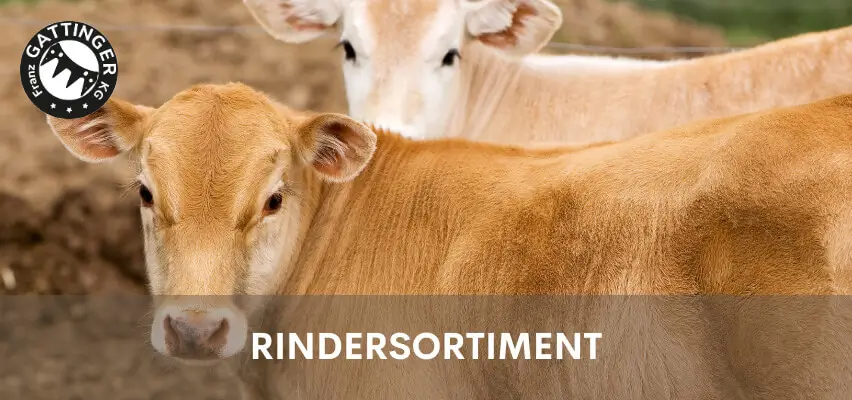 Rindersortiment