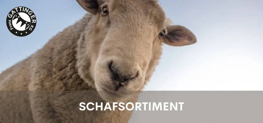 Schafsortiment